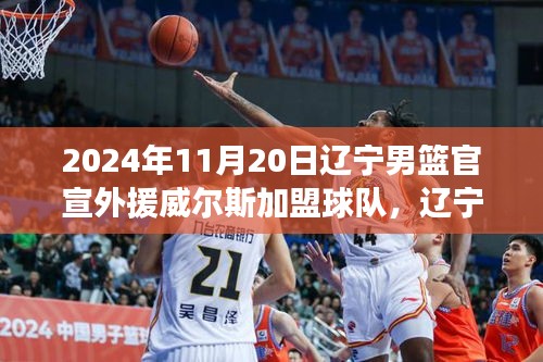 辽宁男篮新援威尔斯加盟，全面指南带你关注篮球盛宴体验