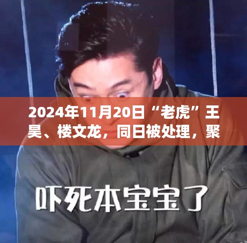 老虎王昊与楼文龙同步处理事件深度评测与介绍，聚焦2024年11月20日