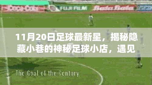 体育 第743页