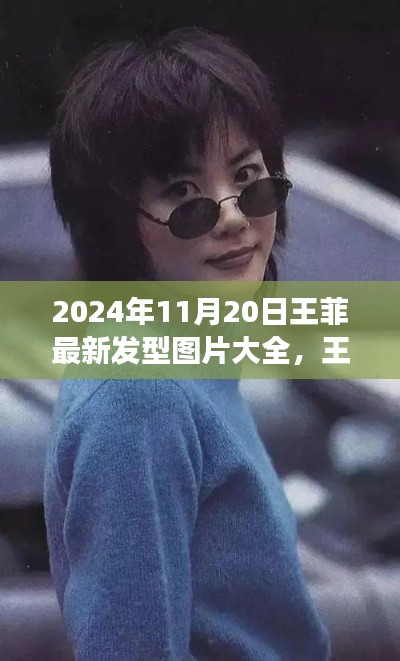 王菲发型新风尚，2024年11月20日最新发型图片大全及发丝之旅