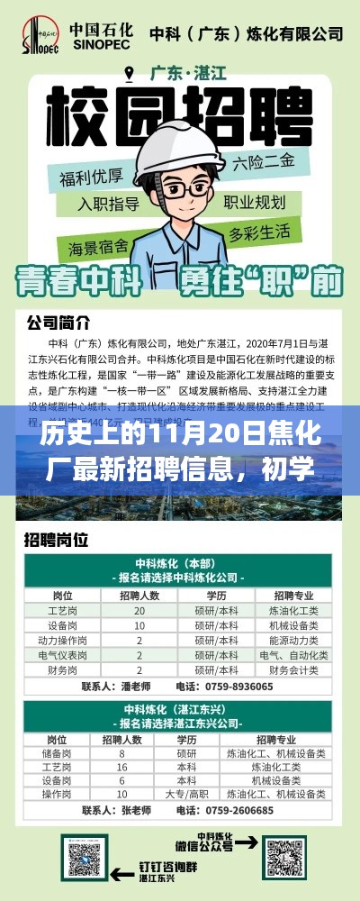历史上的11月20日焦化厂招聘信息全解析，初学者与进阶者的应聘指南与攻略