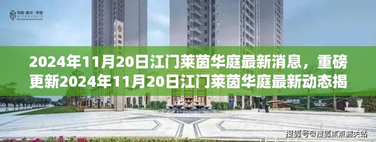 2024年11月20日江门莱茵华庭最新消息，重磅更新2024年11月20日江门莱茵华庭最新动态揭秘