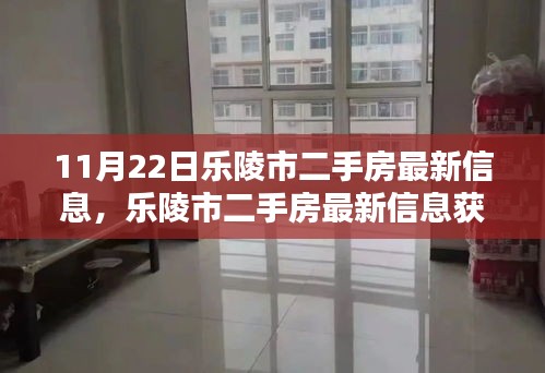 乐陵市二手房最新信息全攻略，11月22日版，轻松掌握购房每一步