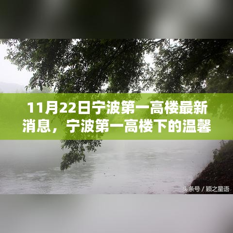 宁波第一高楼下的温馨日常，奇遇与陪伴的最新消息