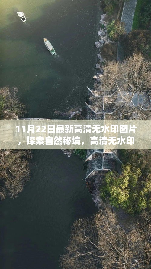 漫天飞舞 第7页