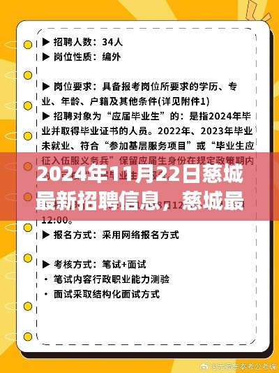慈城最新招聘信息发布（2024年11月22日）——职场人的新选择