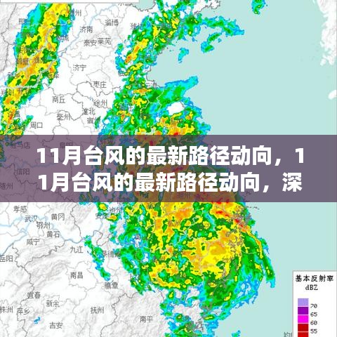 深度解析与案例分析，揭秘11月台风的最新路径动向与影响