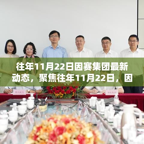 聚焦11月22日因赛集团最新动态，多维度探讨下的深度洞察