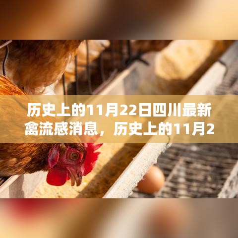 奔走如飞 第6页