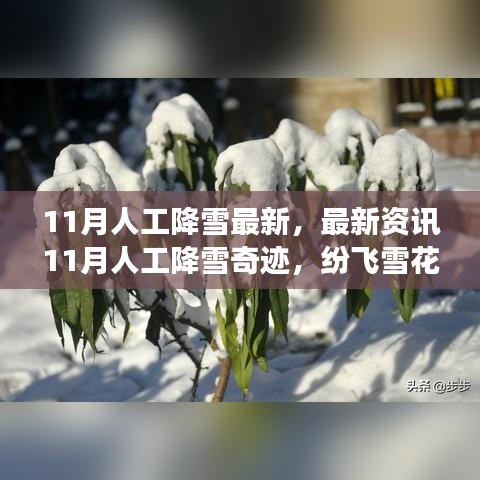 最新资讯，11月人工降雪奇迹，科技缔造浪漫雪花纷飞的故事！