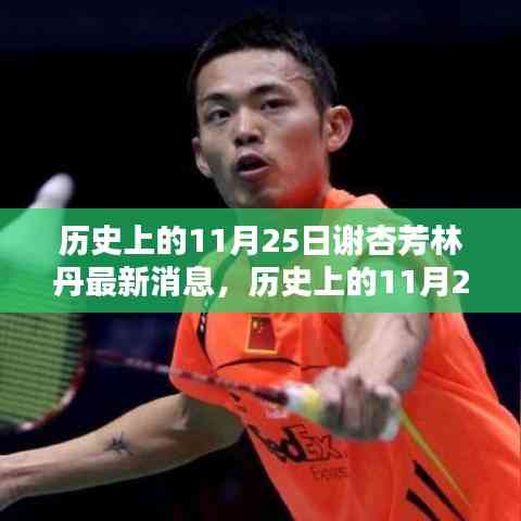 历史上的11月25日,谢杏芳与林丹的最新消息及历程回顾