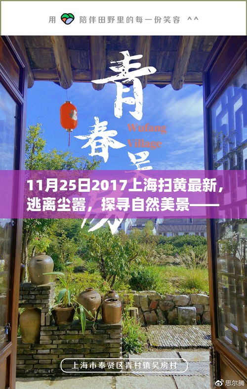 张皇失措 第7页