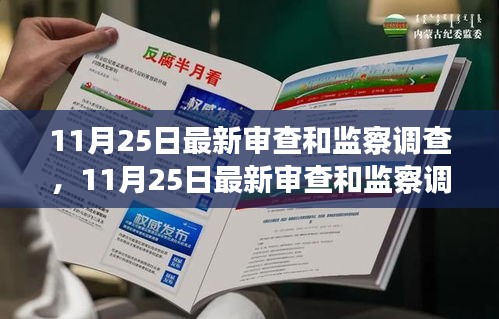 11月25日最新审查和监察调查深度解析，背后的意义与影响全揭秘