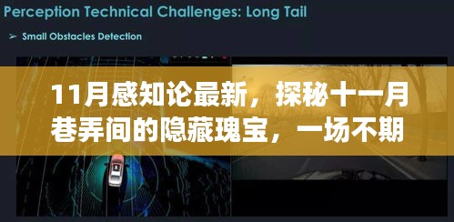 探秘十一月巷弄间的感知之旅，隐藏瑰宝的不期而遇