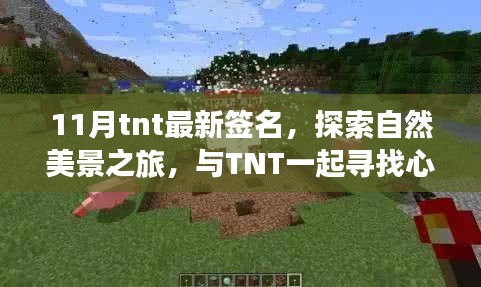 11月tnt最新签名，探索自然美景之旅，与TNT一起寻找心灵的宁静之地