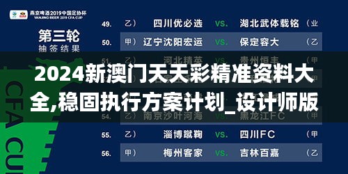 2024新澳门天天彩精准资料大全,稳固执行方案计划_设计师版BJW13.48