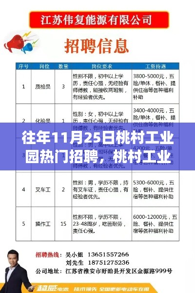 桃村工业园热门招聘全攻略，求职成功之路揭秘