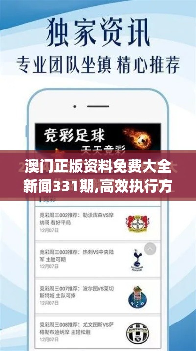 澳门正版资料免费大全新闻331期,高效执行方案_影音体验版FRX11.60