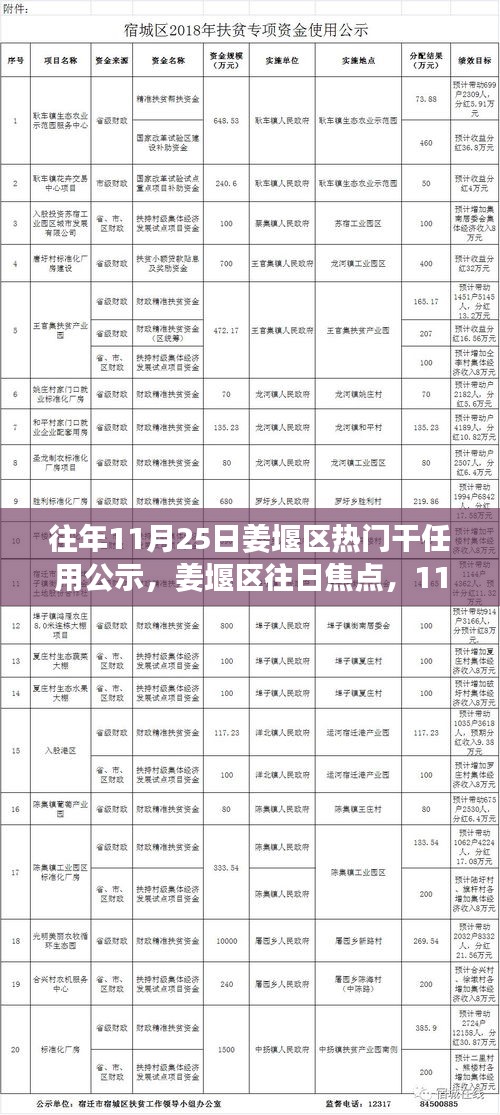 姜堰区干部任用公示回顾与展望，焦点事件影响与启示