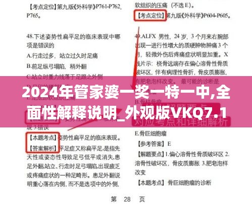 2024年管家婆一奖一特一中,全面性解释说明_外观版VKQ7.10
