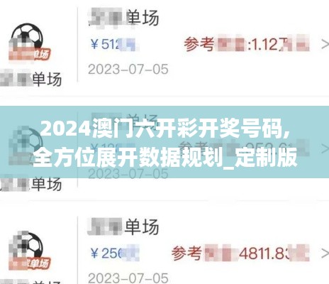 2024澳门六开彩开奖号码,全方位展开数据规划_定制版DLO7.49