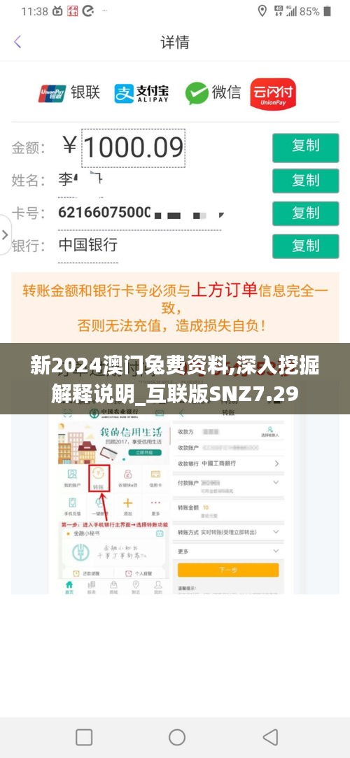 新2024澳门兔费资料,深入挖掘解释说明_互联版SNZ7.29