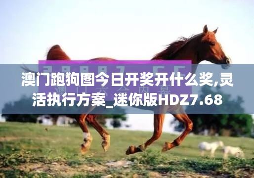 澳门跑狗图今日开奖开什么奖,灵活执行方案_迷你版HDZ7.68