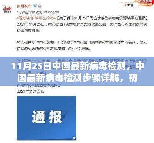 初学者与进阶用户指南，中国最新病毒检测步骤详解（11月25日更新版）