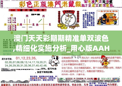 澳门天天彩期期精准单双波色,精细化实施分析_用心版AAH7.42