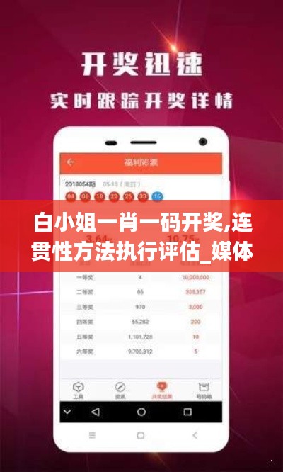 白小姐一肖一码开奖,连贯性方法执行评估_媒体版YZC7.47