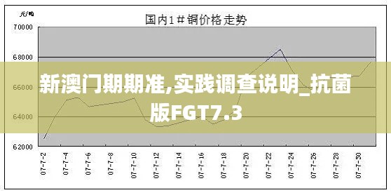 新澳门期期准,实践调查说明_抗菌版FGT7.3