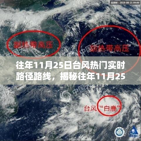 揭秘往年11月25日台风实时路径路线详解，热门路径与趋势分析