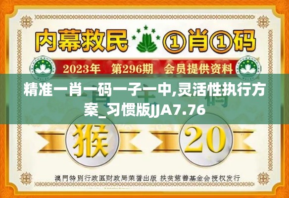 精准一肖一码一子一中,灵活性执行方案_习惯版JJA7.76