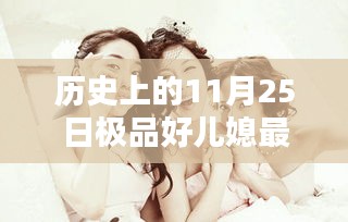 历史上的11月25日，极品好儿媳最新产品深度测评与最新资讯