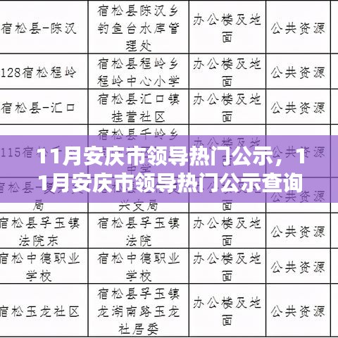 11月安庆市领导热门公示查询指南，快速掌握公示信息获取步骤
