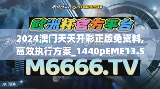 2024澳门天天开彩正版免资料,高效执行方案_1440pEME13.53