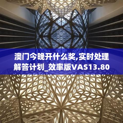 澳门今晚开什么奖,实时处理解答计划_效率版VAS13.80
