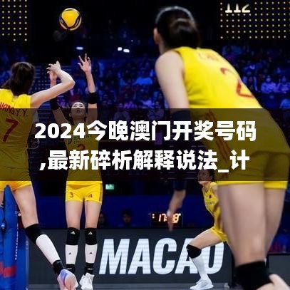 不飞则已 第4页