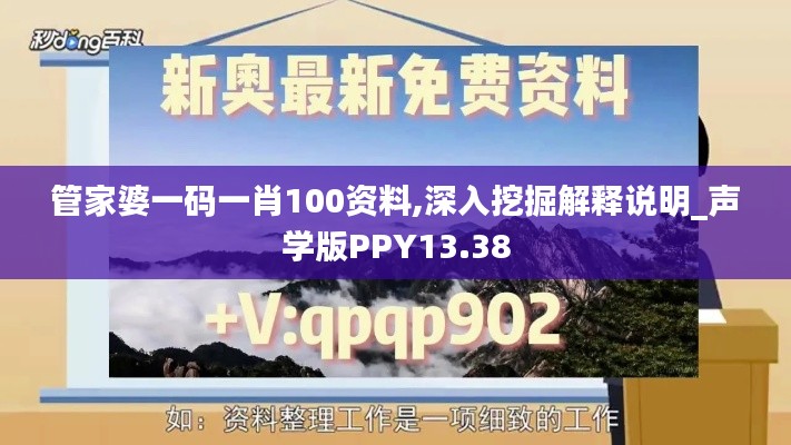 管家婆一码一肖100资料,深入挖掘解释说明_声学版PPY13.38