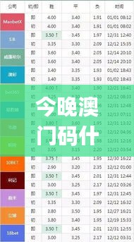 今晚澳门码什么特马,灵活性执行方案_多功能版KPB13.1