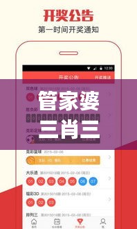 管家婆三肖三码100%,实地数据验证_实用版FIC13.18