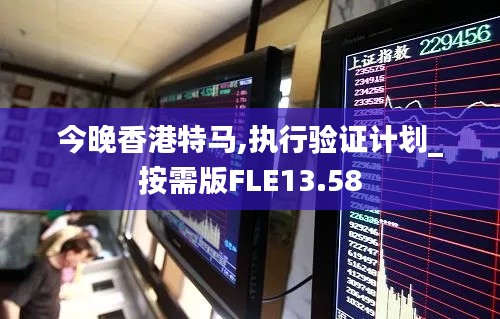 今晚香港特马,执行验证计划_按需版FLE13.58
