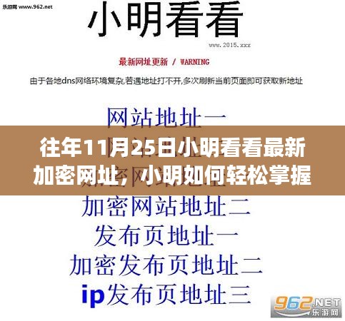小明轻松掌握最新加密网址，往年11月25日探索指南