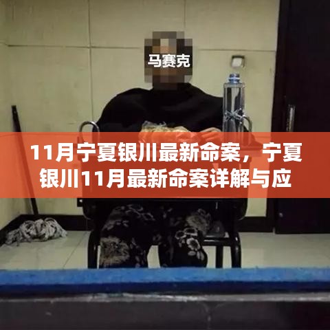 宁夏银川11月最新命案详解及应对指南