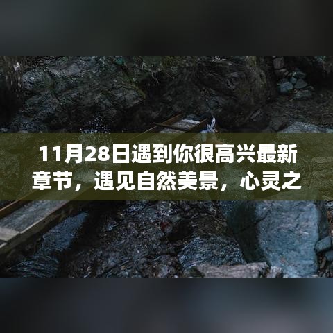 11月28日惊喜邂逅，启程心灵之旅，遇见自然美景