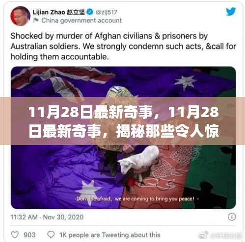 揭秘，11月28日最新奇事与神秘事件大揭秘！