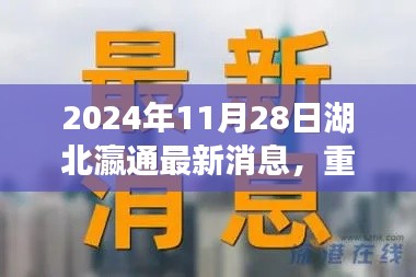 湖北瀛通最新消息全解析，重磅消息一网打尽（2024年11月28日）