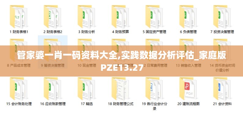 管家婆一肖一码资料大全,实践数据分析评估_家庭版PZE13.27