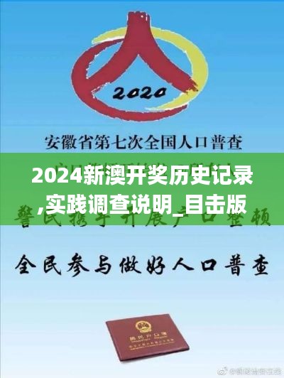 2024新澳开奖历史记录,实践调查说明_目击版NKN13.35