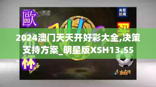 2024澳门天天开好彩大全,决策支持方案_明星版XSH13.55